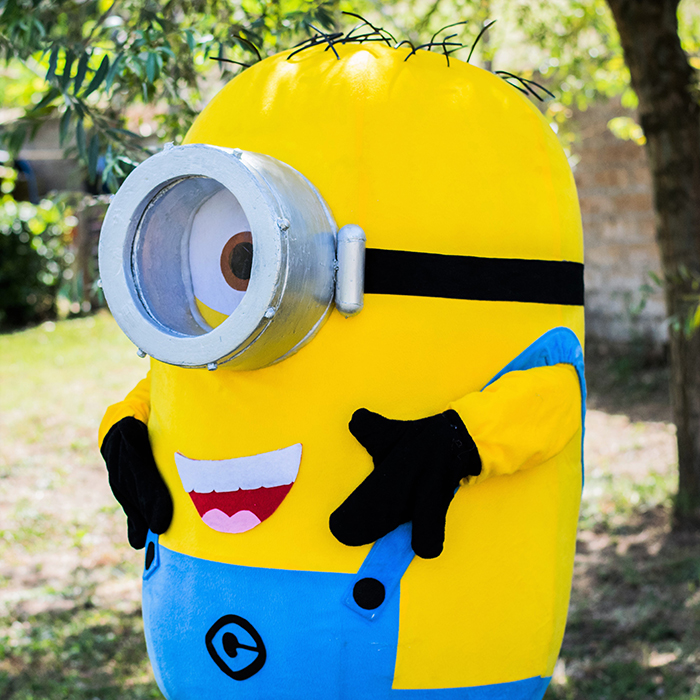 minion stewart